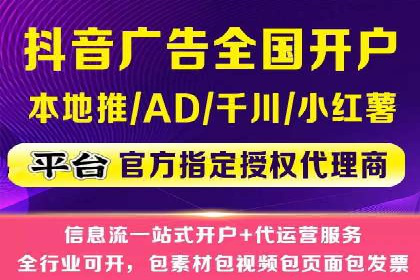 XX领域竞价广告的投放策略及效果展示